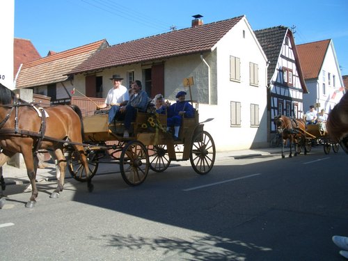 CIMG0055.JPG