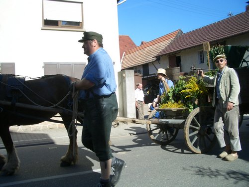 CIMG0084.JPG