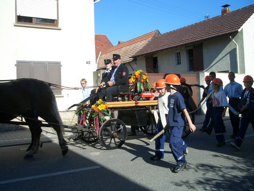 CIMG0105.JPG