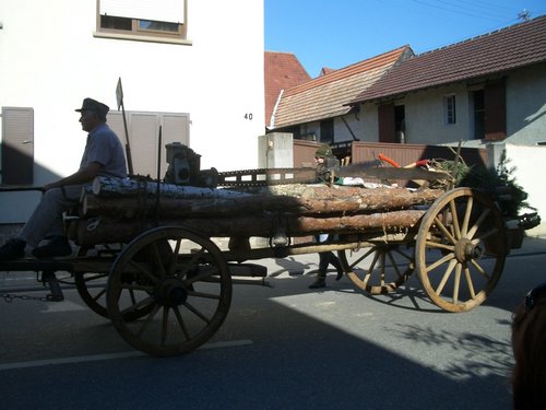 CIMG0117.JPG